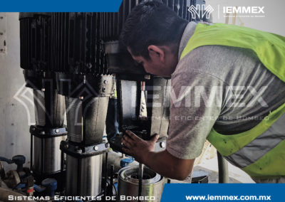 Galeria Iemmex 3