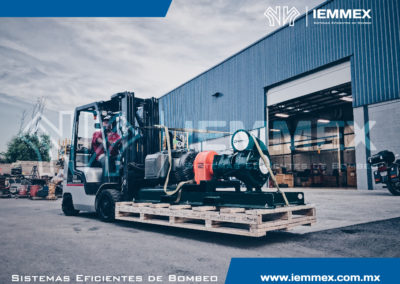 Galeria Iemmex 4