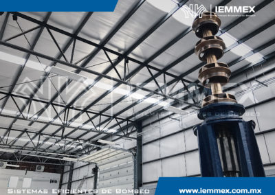 Galeria Iemmex 7