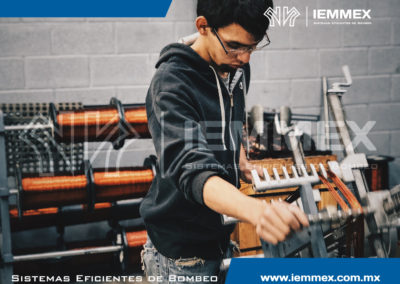 Galeria Iemmex 8
