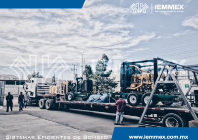 Galeria Iemmex 9